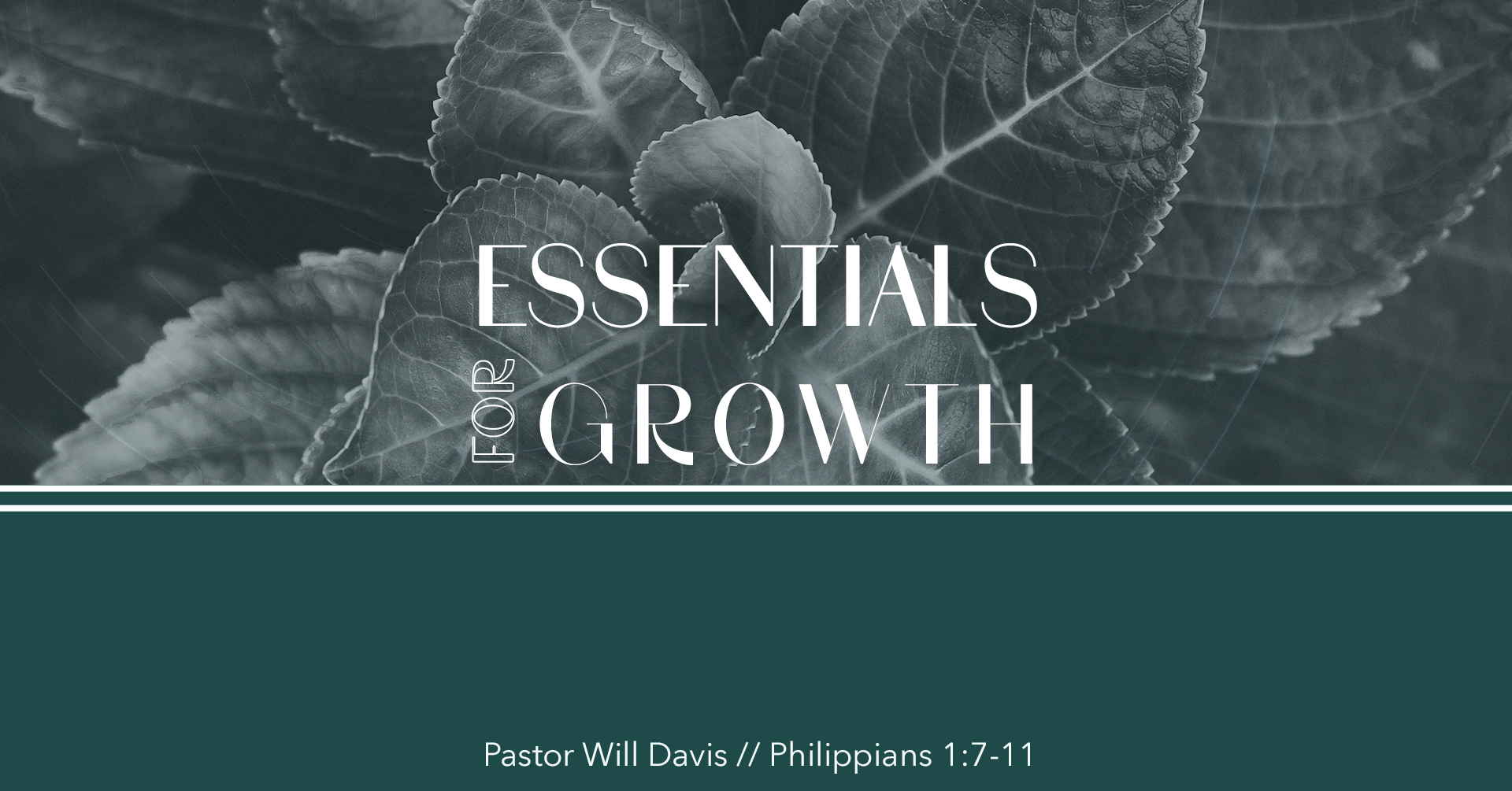 Essentials for Growth